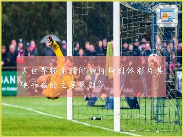 买世界杯竞猜时如何辨别体彩与其他平台的主要区别？