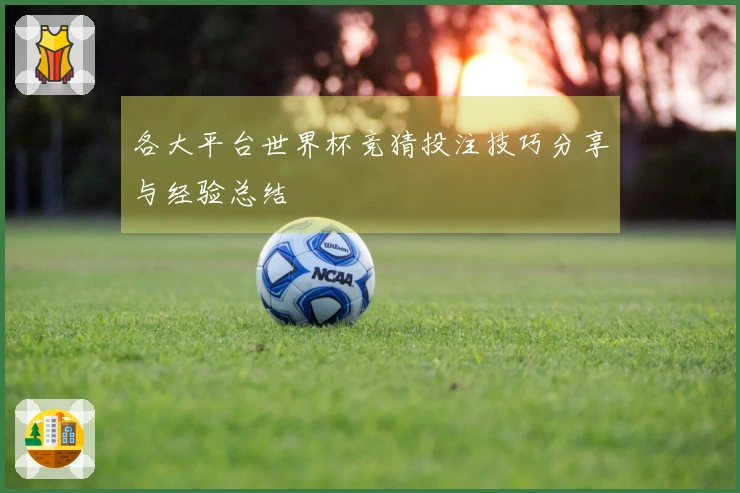 各大平台世界杯竞猜投注技巧分享与经验总结