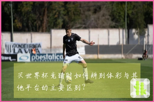 买世界杯竞猜时如何辨别体彩与其他平台的主要区别？