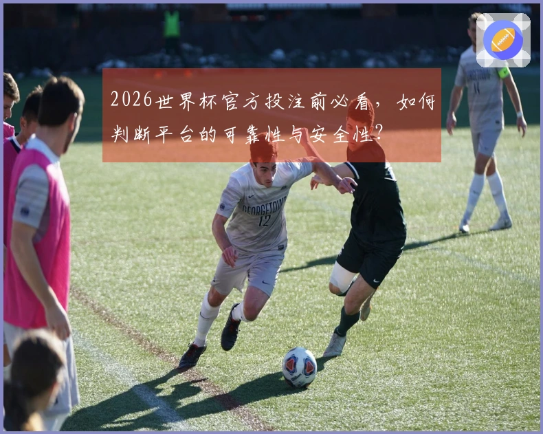 2026世界杯官方投注前必看，如何判断平台的可靠性与安全性？
